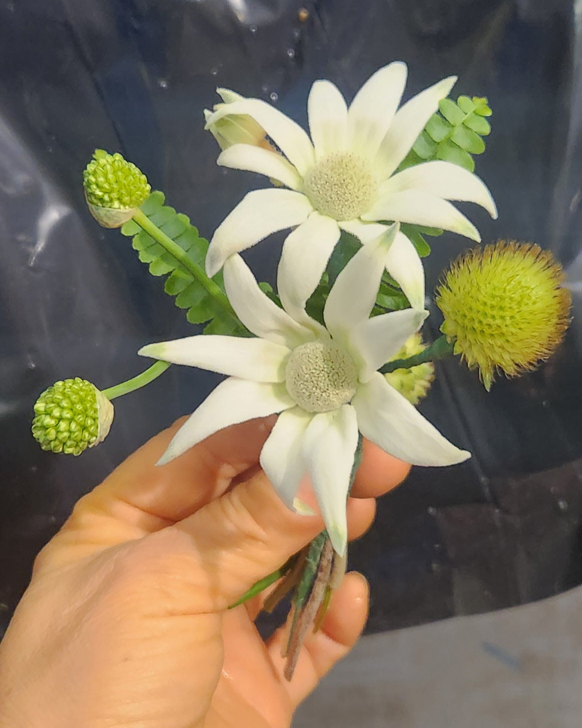 Star boutonniere