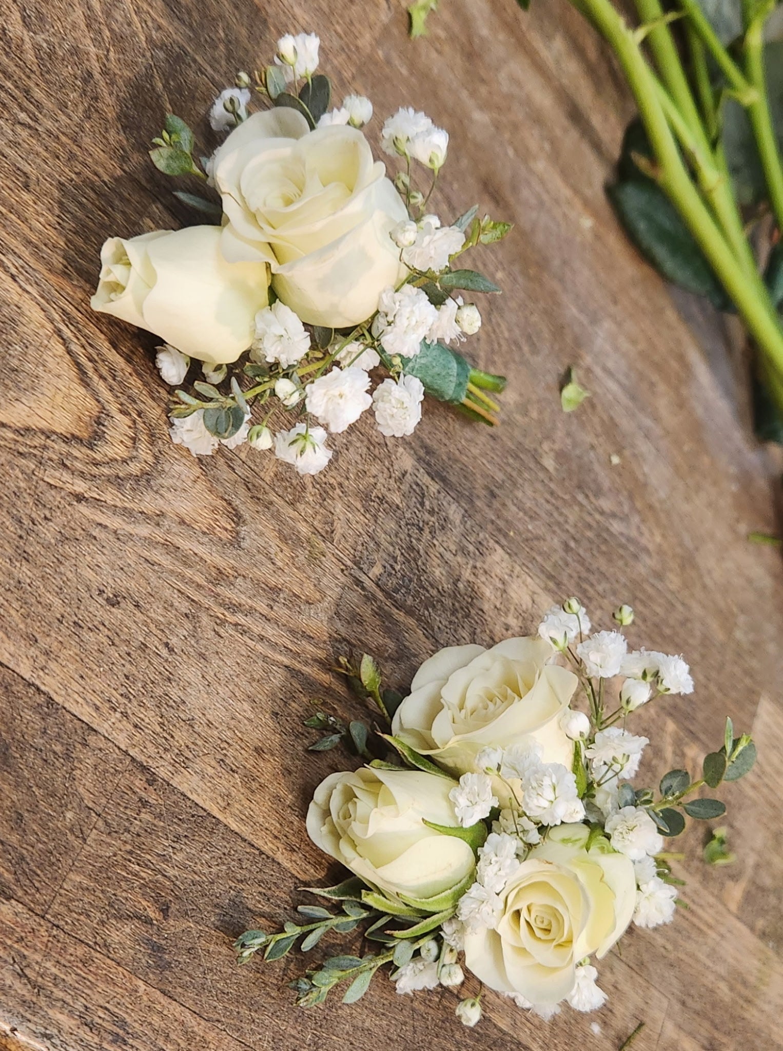 Muli Rose Boutonniere