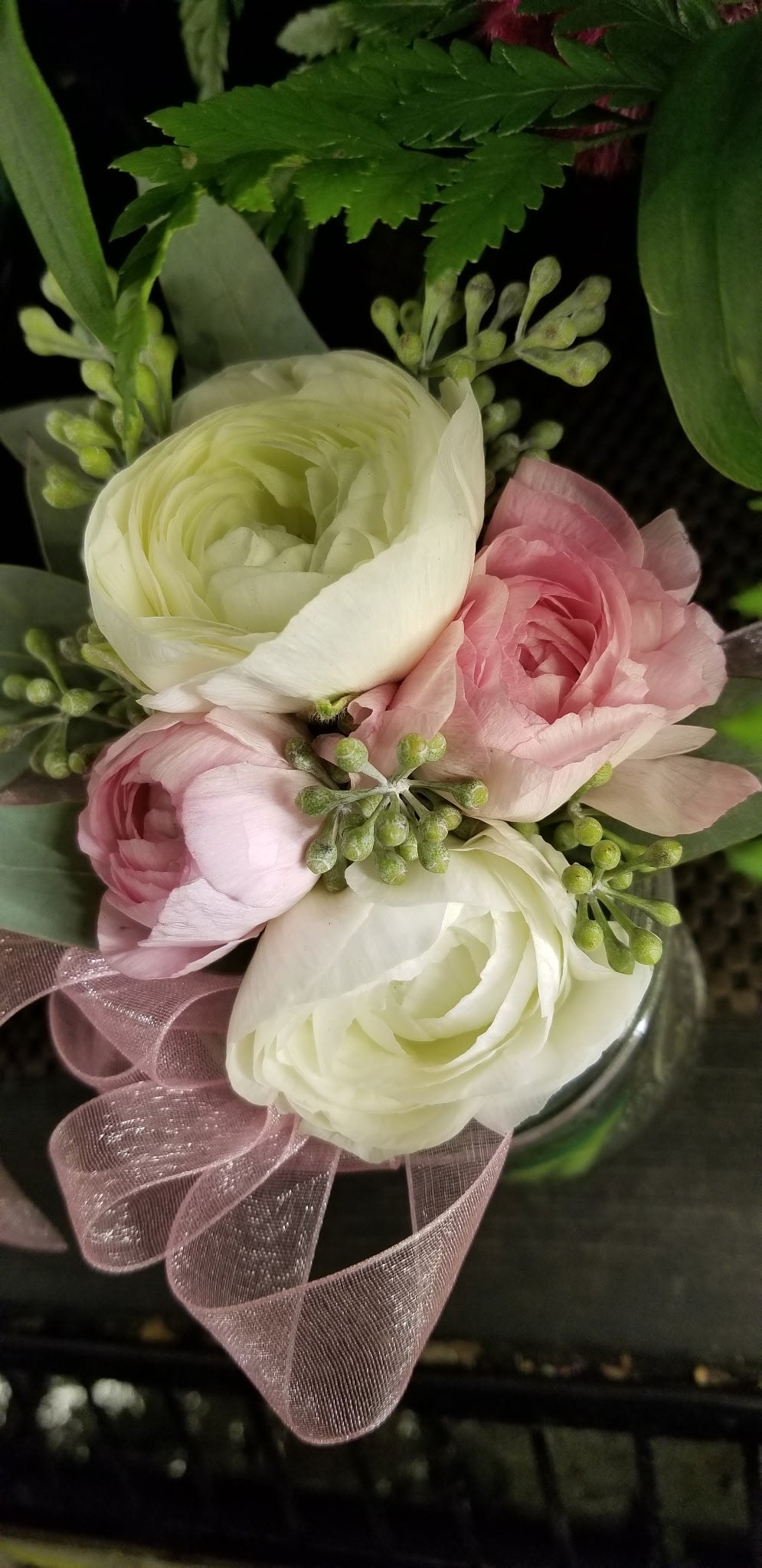 Pink and White Ronanculas Wrist Corsage