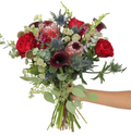 Burgundy Baccara