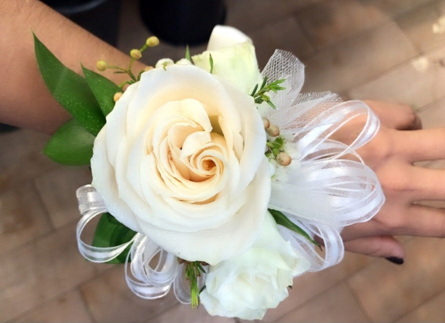 Cream Rose