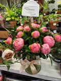 Pink Paradise
